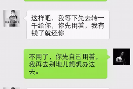 西藏西藏的要账公司在催收过程中的策略和技巧有哪些？